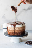 Three-layer chocolate mousse cake