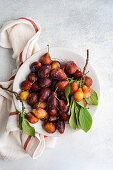 Bowl of ripe organic plums