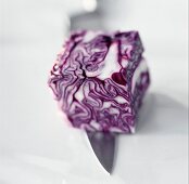 Cube of purple cabbage