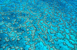 Aerial view of Heron Island, Great Barrier Reef, Queensland, Australia