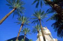The Luxor, The Luxor Hotel and Casino, Las Vegas Boulevard, Las Vegas, Nevada, USA