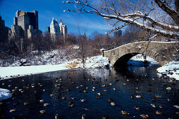 The Ponds, Central Park, Skyline von Central Park South Manhattan, New York, USA