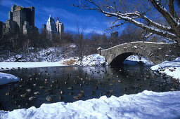 Winter, The Pond Central Park, Skyline von Central Par k South Manhattan, New York, USA