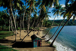 Playa Anadel, Samana, Dominikanische Republik Karibik