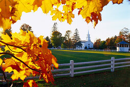 Church and autumnal trees in the light of the evening sun, Craftsbury, Vermont, USA, America