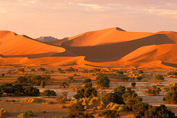 Wüstenlandschaft und Sanddünen bei Sonnenuntergang, Namib Wüste, Sossusvlei, Namibia, Afrika