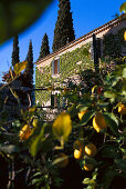 Finca Fangar, Agrotourismo, noerdl. Campanet, Mallorca Balearen, Spanien