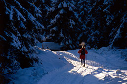 Cross country skiing, forest near Boras, Vastergotland, Sweden