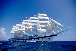 Royal Clipper