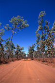 Cyclists on Outback Track, Kakadu NP NT, Australia