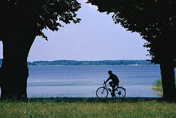 Man rides a bike at Lake Muritz, Mecklenburg Lake District, Mecklenburg-Western Pomerania, Germany