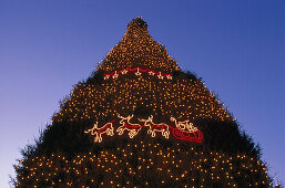 The biggest christmas tree worldwide, christmas market of Dortmund, North Rhine-Westphalia, Germany