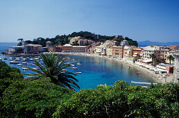 View of coastal town in the sunlight, Baia del Silencio, Sestri Levante, Liguria, Italy, Europe