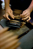 Leon Jimenes rollt Tabak, Zigarren in Zigarrenfabrik in Santiago de los Caballeros, Dominican Republic, Karibik