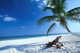 Palmenstrand mit Strandliege, Karibikküste südlich von Tulum, Quintana Roo, Halbinsel Yucatán, Mexiko