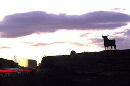 Osborne-Stier bei Logrono, La Rioja Spanien