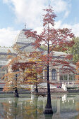 Lake and building at Parque del Retiro, Madrid, Spain, Europe