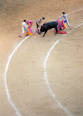 Bullfight, Madrid, Spain
