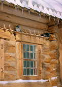 Wooden house in Kolomenskoye, Moscow Russia