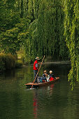 Punting on Avon River, Christchurch, Punt, boat for tourists in Christchurch, South Island, Gondel, gondolier, Avon River