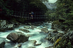 Hiker on ropebridge crossing a river, Routeburn Track, Mount Aspiring National Park, New Zealand, Oceania