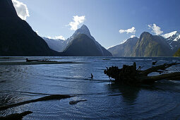 View of mountains and fiord Milford Sound, Fiordland National Park, South Island, New Zealand, Oceania