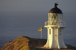 Cape Reinga Lighthouse in the evening light, North Island, New Zealand, Oceania