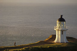 Cape Reinga Lighthouse, Northland, Leuchturm Cape Reinga, New Zealand, most northerly point