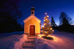 Chapel and christmas tree, Upper Bavaria Germany