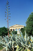 Tempelruine unter blauem Himmel, Segesta, Sizilien, Italien, Europa