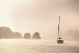 Rhine at dawn, Eltville Rheingau, Hesse, Germany