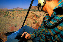 View of cattle herd from above, Cockpit, Sterling Buntine, Lansdowne Station, Kimberley, Western Australia, Australia