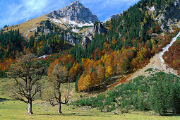 Autumn, Eng, Karwendel Mountains Tyrol, Austria