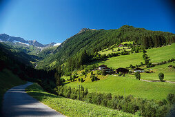 Grüne Wiesen im Tauferer Ahrntal unter blauem Himmel, Pustertal, Südtirol, Italien, Europa