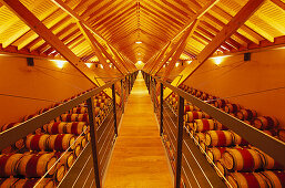 Lager für Weinfässer, Bodega Chivite, Navarra, Spanien, Europa