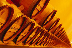 Storage, Wine barrels, Bodega Chivite Navarra, Spain