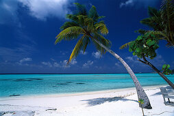Palmenstrand im Sonnenlicht, Four Seasons Resort, Kuda Hurra, Malediven, Indischer Ozean