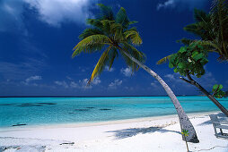 Palm beach in the sunlight, Four Seasons Resort, Kuda Hurra, Maledives, Indian Ocean