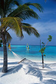 Hammock on palm beach, Four Seasons Resort, Kuda Hurra, Maledives, Indian Ocean