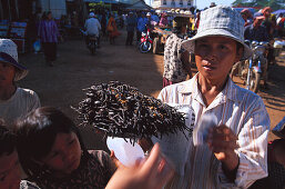 Roasted Spiders, Kompong Chhang Cambodia, Asia