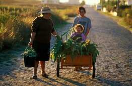 Family of farmers with cart, Castelo do Naiva, Portugal
