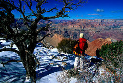 Person admiring the view over the Grand Canyon, hiking in the Grand Canyon National Park, Arizona, USA