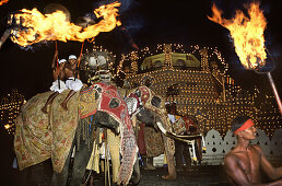Menschen reiten auf Elefanten vor dem Kandy Palast bei Nacht, Perahera Festival, Kandy, Sri Lanka, Asien