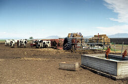 Farm, Cuauth'moc, Chihuahua, Mexico