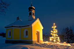 Little chapel with illuminated christmas tree at dusk, Upper Bavaria, Germany