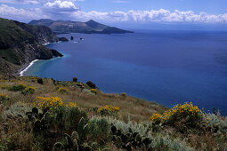 Cacti & Lipari Coastline, Sizilien, Lipari, Italy