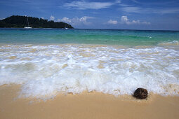 Kokusnuss am Strand von Ko Khai Nok, Thailand