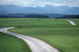 Weg durch Wiesen, im Hintergrund Wettersteinmassiv, Bayern, Deutschland