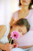 Girl listening to pregnant mothers stomach, close up