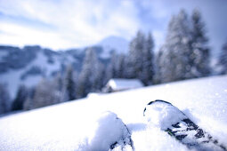 Skifahrer vor Hütte, Brixen im Thale, Tirol, Österreich